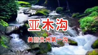 救援蓝色小鱼
